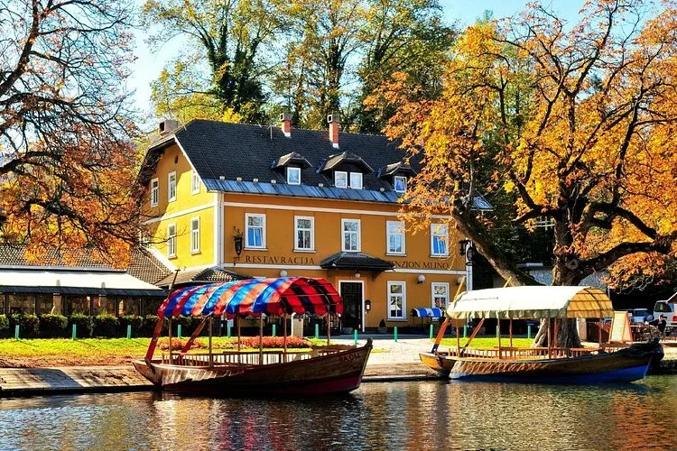 A boat on Lake Bled by the shore at Mlino